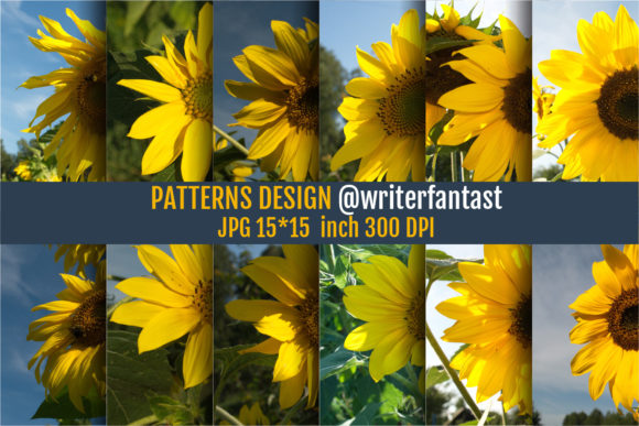 Sunflower Patterns and Textures for Creative Projects